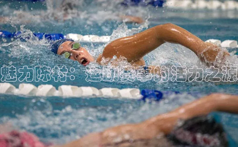 魅力陈村：运动赛事的活力之源