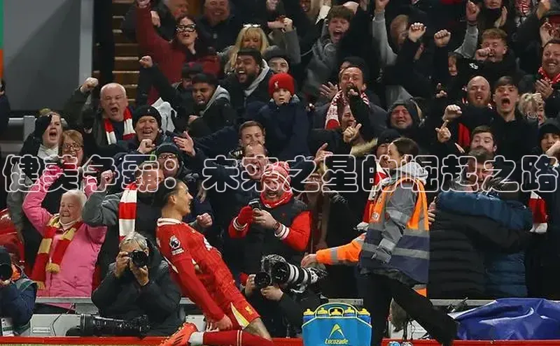 健美争霸：未来之星的崛起之路