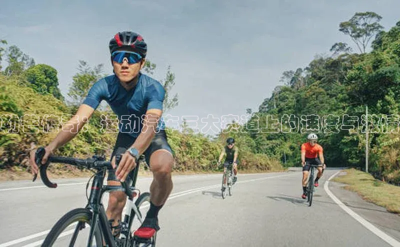 勒芒传奇：运动汽车三大赛道上的速度与激情