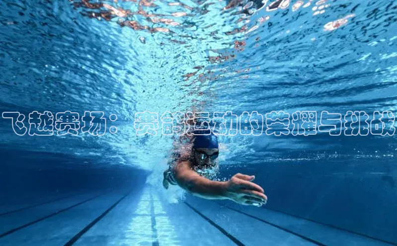 飞越赛场：赛鸽运动的荣耀与挑战