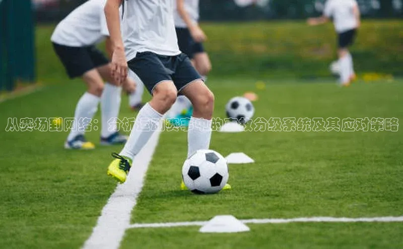 从赛场到网络：分析运动赛事中的事故分级系统及其应对策略