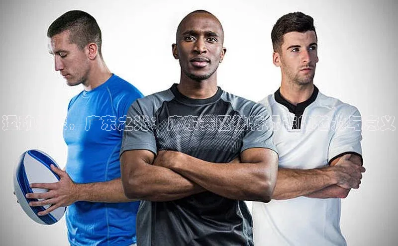 运动风采，广东之光：广东赛区独特标志的魅力与意义