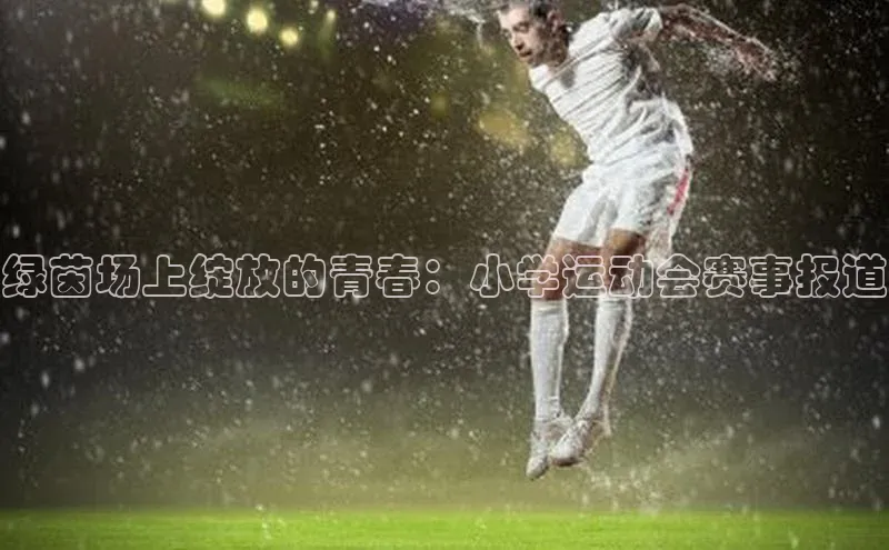 绿茵场上绽放的青春：小学运动会赛事报道