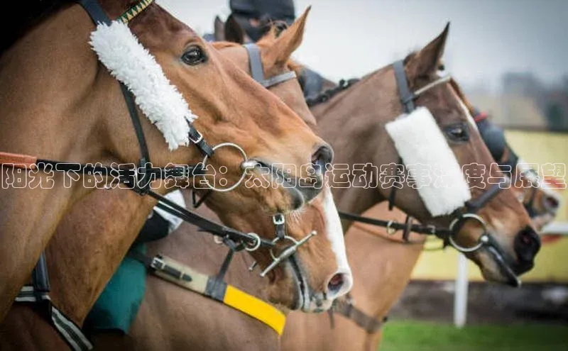 阳光下的活力舞台：太阳岛运动赛事深度与展望
