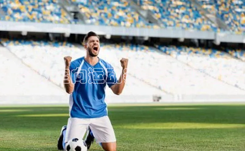 ：省内定向运动赛事的精彩纷呈