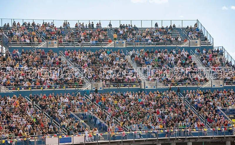 新宝gg在线注册