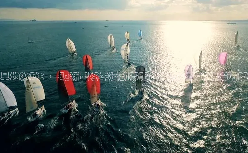 旱地冰球：一项新型冬季运动赛事的保险需求与保障方案