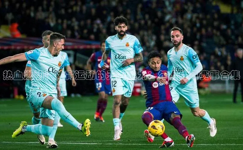 热血燃动！体育运动的无限魅力：年度体育赛事合集