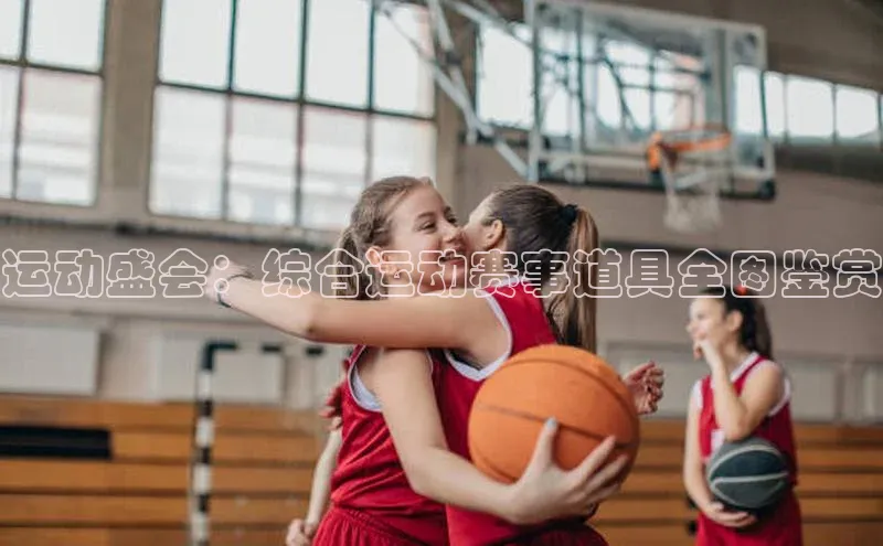 新宝登录app入口手机版