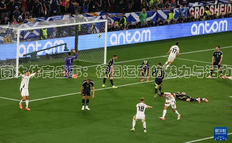 南大体育盛事：校园运动的魅力与活力