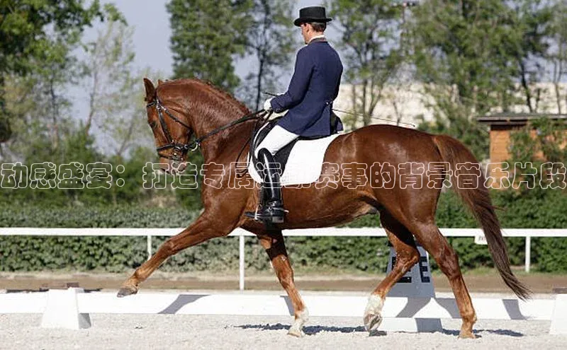 动感盛宴：打造专属运动赛事的背景音乐片段