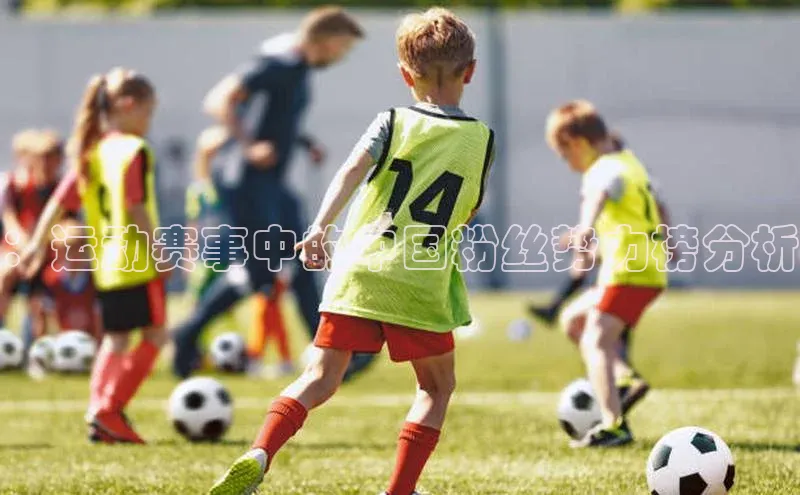 ：运动赛事中的中国粉丝势力榜分析